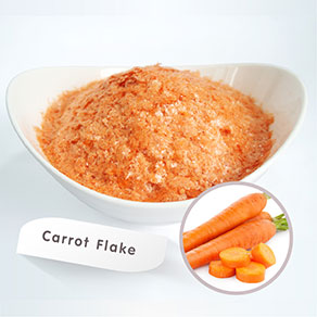 Drum-Dried
Rice, Beans, Fruits and Vegetable Flake and Powder