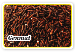 Genmai,เธเนเธฒเธงเธเธฑเนเธง