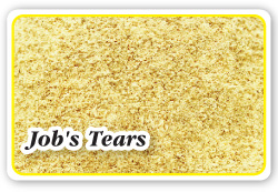 Job's Tears,เธฅเธนเธเน€เธ”เธทเธญเธข