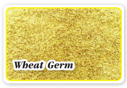 Wheat Germ,เธเนเธฒเธงเธชเธฒเธฅเธต