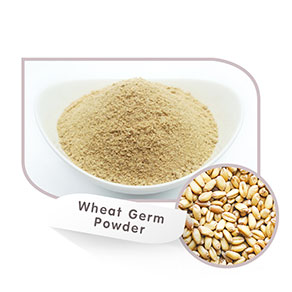 Drum Dried Wheat Germ